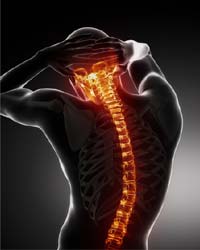 Glucosamine Condroitin