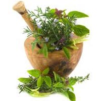 Herbs for Joint Pain