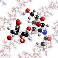 Hyaluronic Acid Supplement