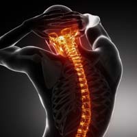 Joint Back Pain