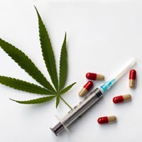 Joint Supplements for Humans