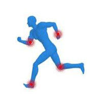 Glucosamine Chondroitin Liquid