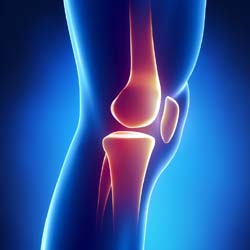 What’s the Best Glucosamine?