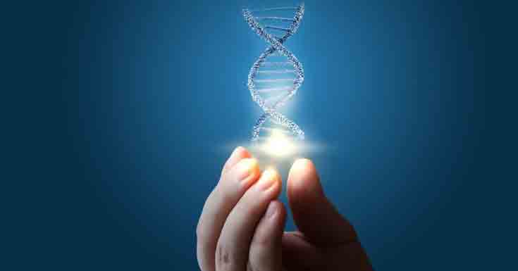 Genetics And Family Risks