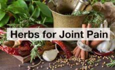 Herbs for Joint Pain- Foods and Spices for Relief