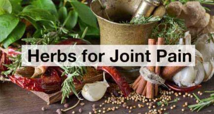 Herbs for Joint Pain