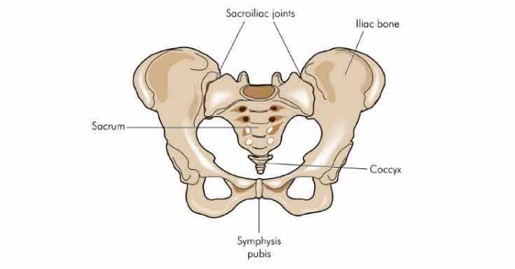 Sacroiliac Joint Dysfunction