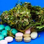 cannabis for chronic pain